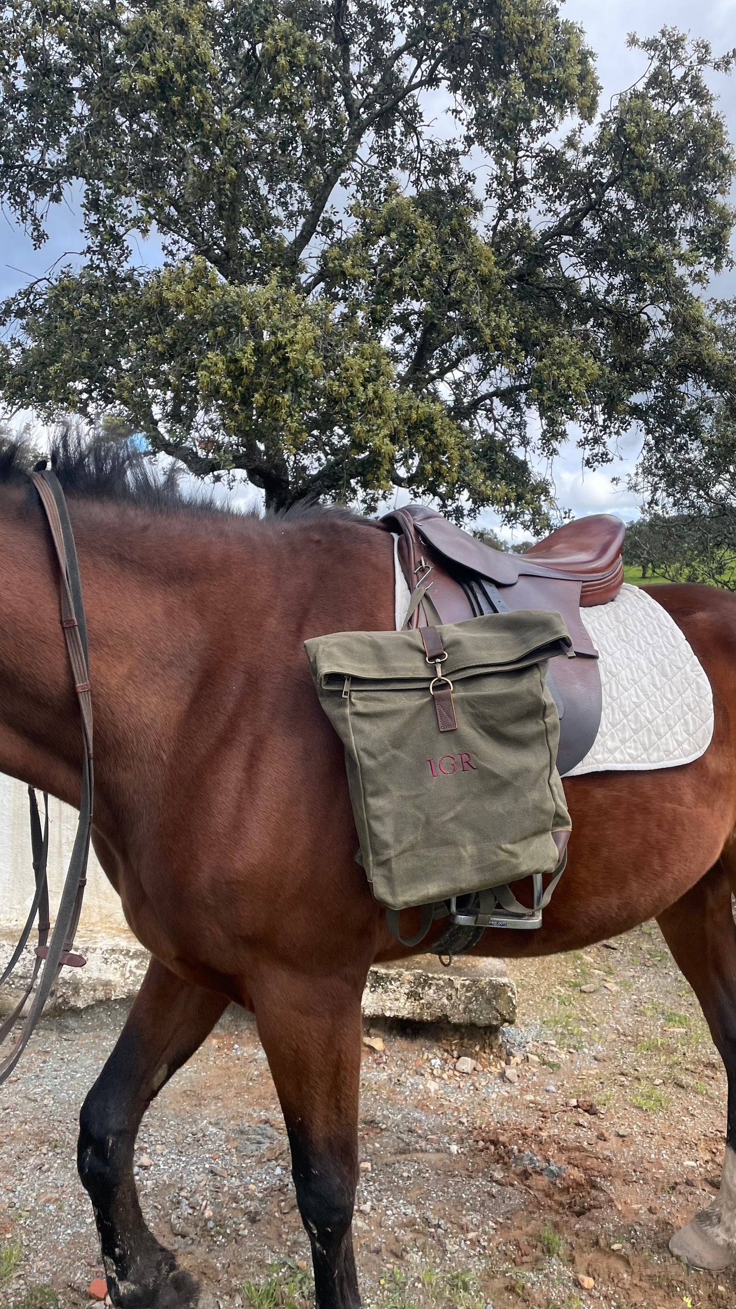 Kilimanjaro backpack